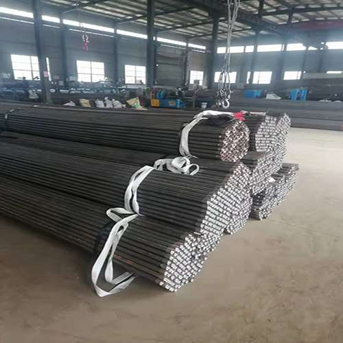 赵西垸林场使用声测管进行检测的目的和方法